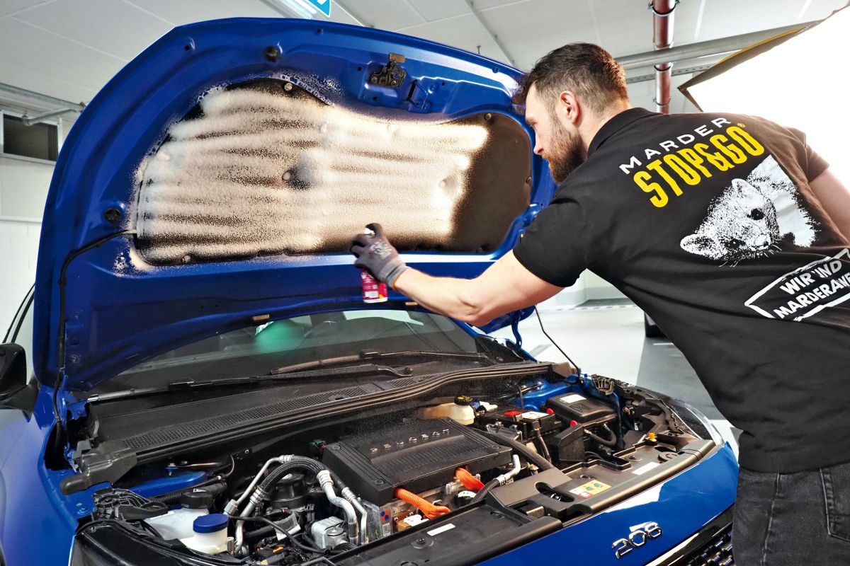 Marterpreventie - Antimarterspray behandeling motorkap