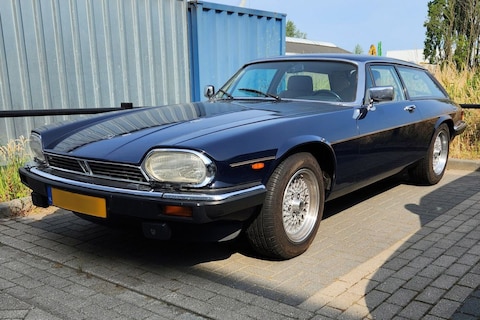 Lynx Eventer (1992) - In het Wild