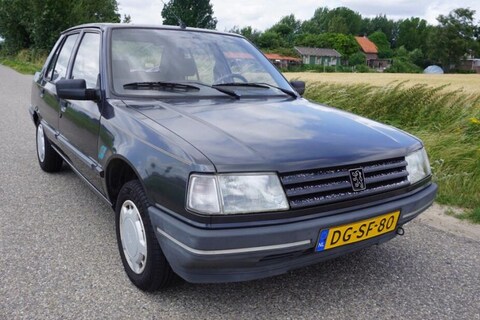 Peugeot 309 (1991) - Liefhebber Gezocht