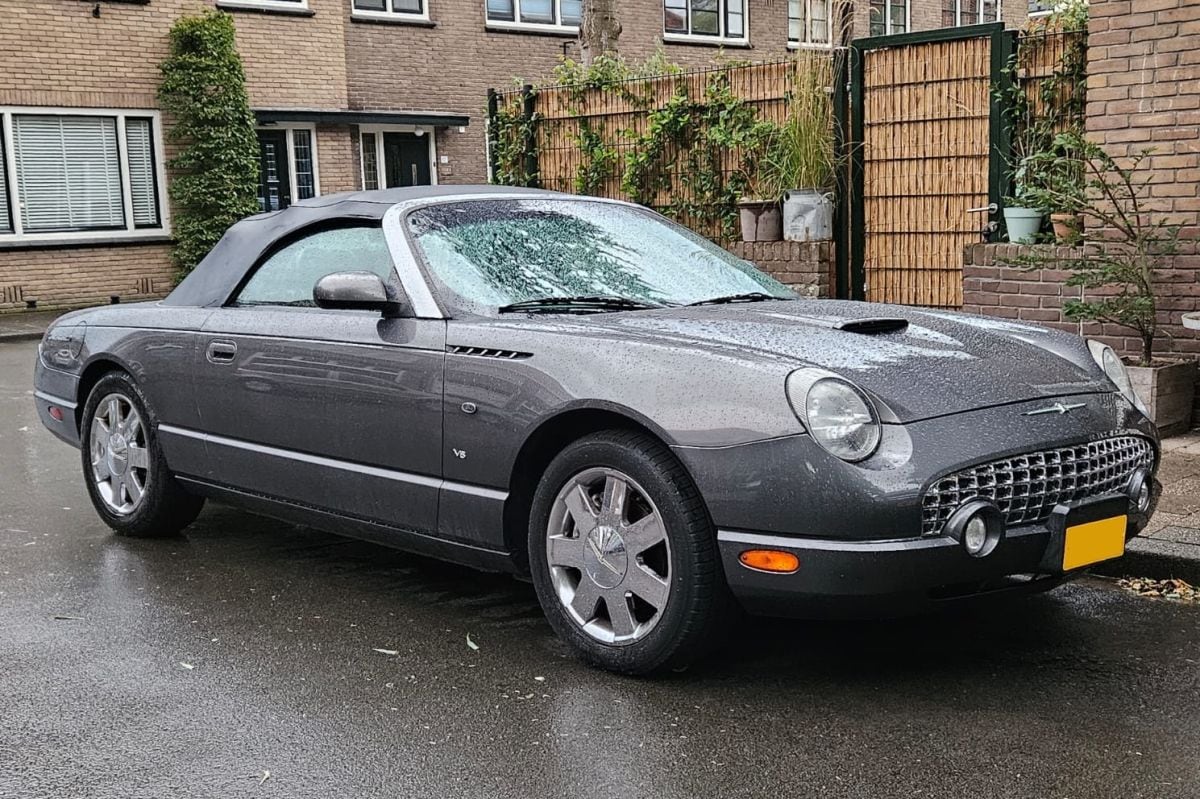 Ford Thunderbird In het Wild