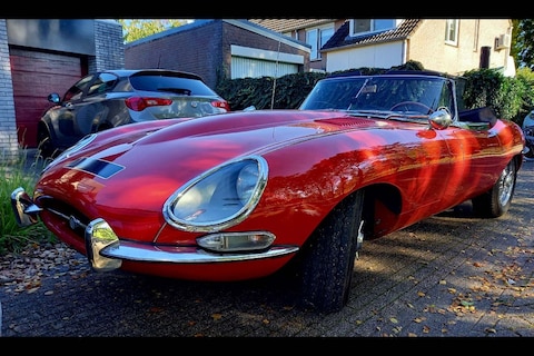 Jaguar E-type (1967) - In het Wild
