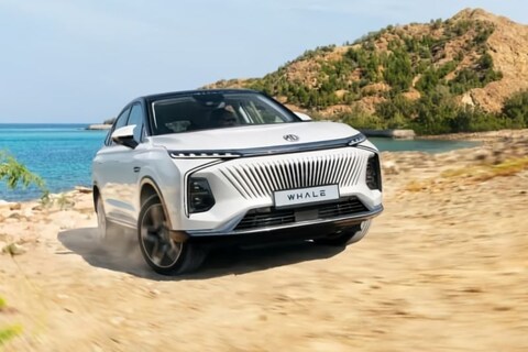 Ook MG heeft opvallende voorliefde voor zeedieren