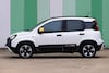 Fiat Pandina