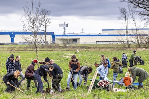 Activisten planten bomen naast VDL Nedcar nu toekomst onzeker is