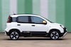 Fiat Panda Pandina