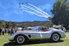 The Quail 2024
