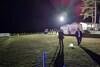 Pebble Beach 2024 Dawn Patrol