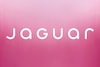 Jaguar identiteit campagne