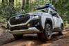 Subaru Forester Wilderness
