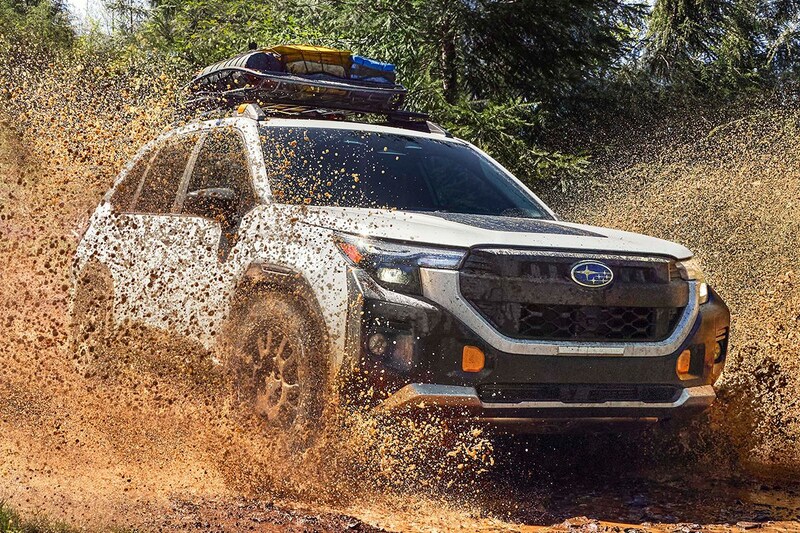 Subaru Forester Wilderness