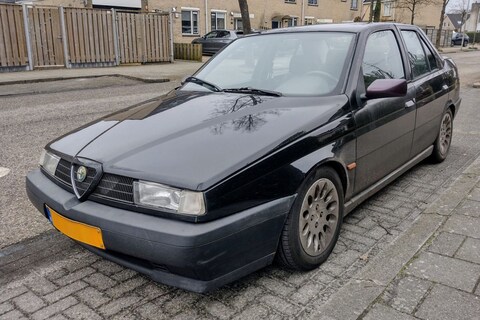 De Alfa Romeo 155 is zeldzamer dan je wellicht denkt - In het Wild
