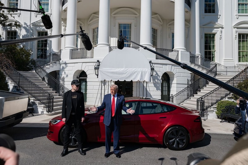 Donald Trump Tesla Musk