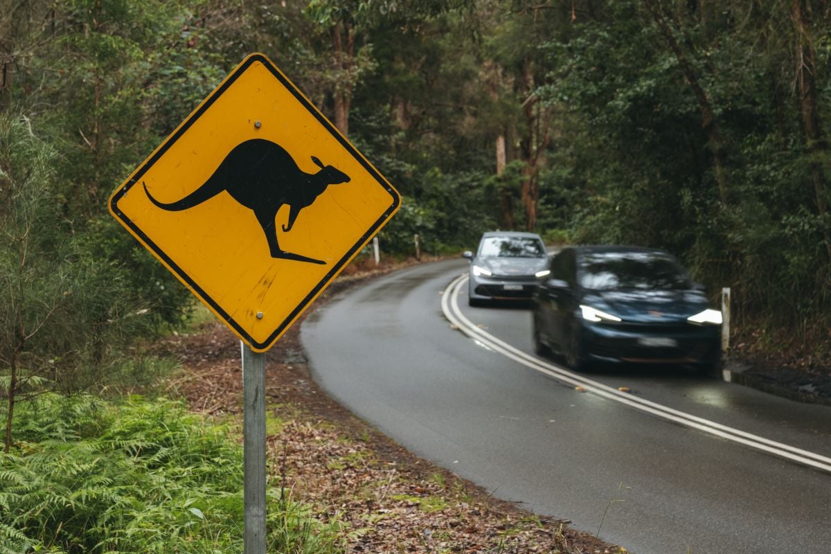 Cupra's in Australie