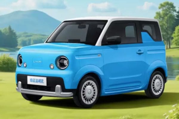 Livan Smurf EV