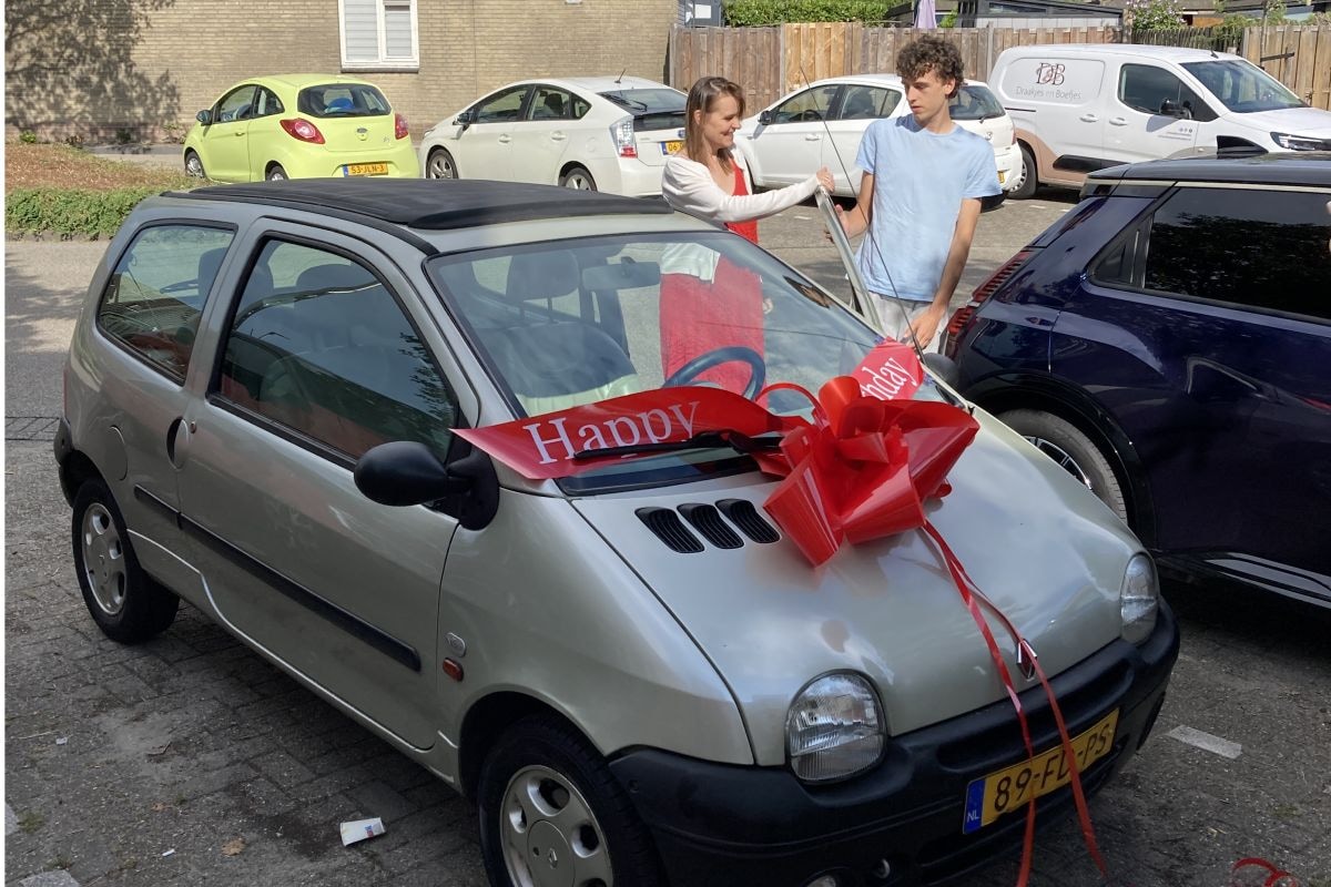Renault Twingo Budgetbrigade
