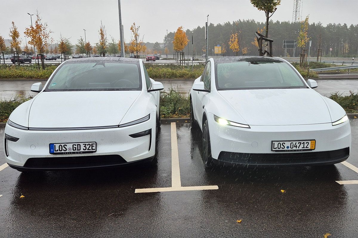 Tesla Model Y Standard vs. Premium