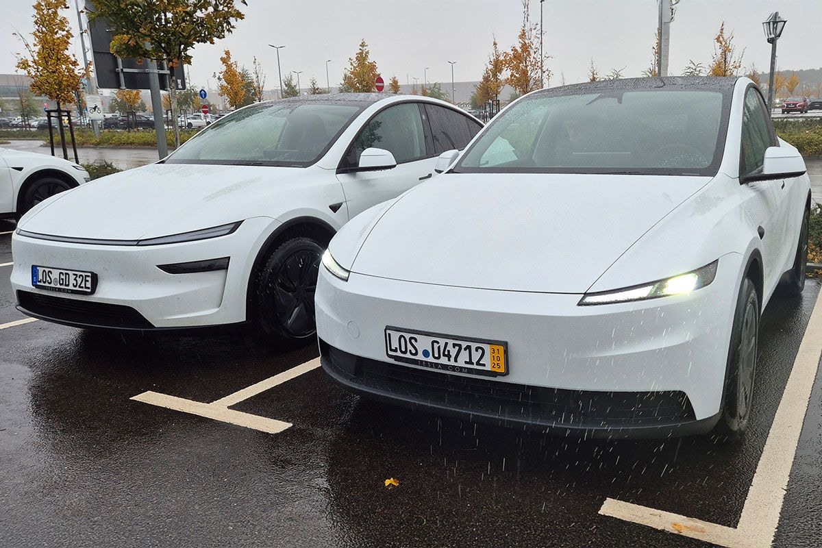 Tesla Model Y Standard vs. Premium