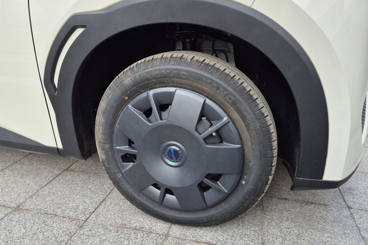 BYD Dolphin Surf Back to Basics