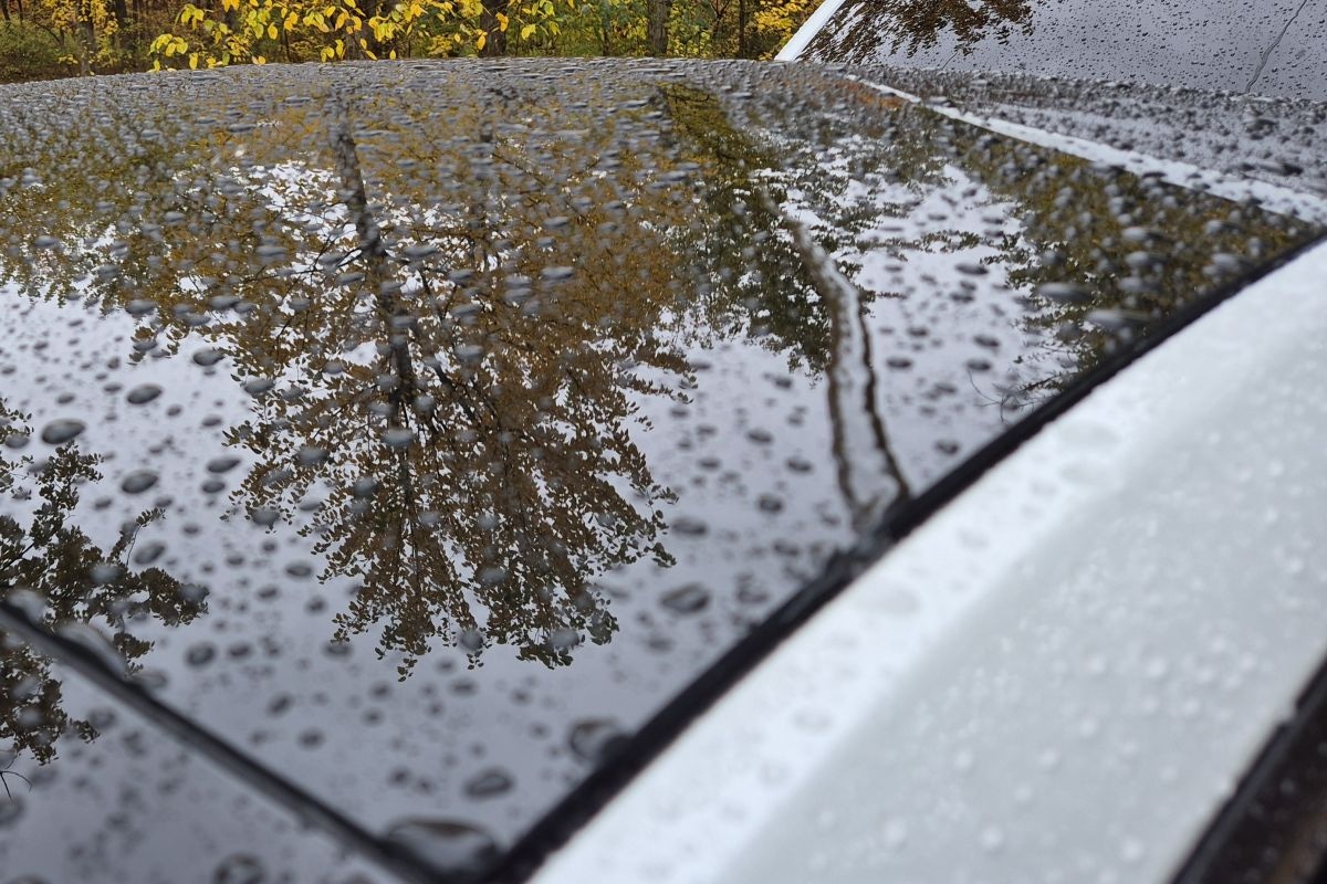 Tesla Model Y Standard