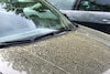 Pollen, stuifmeel op auto