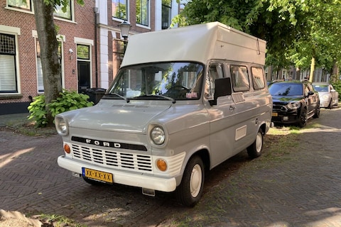 Mooie Grijze Muis - In Het Wild