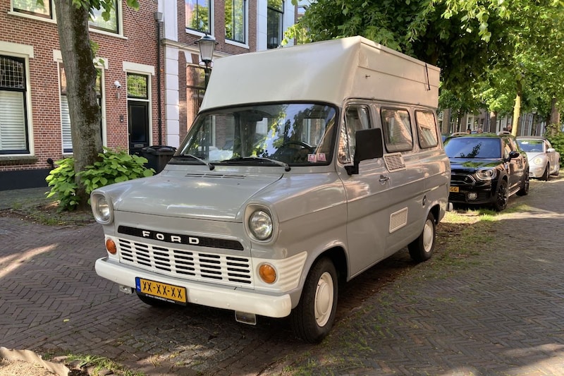 Mooie Grijze Muis - In Het Wild