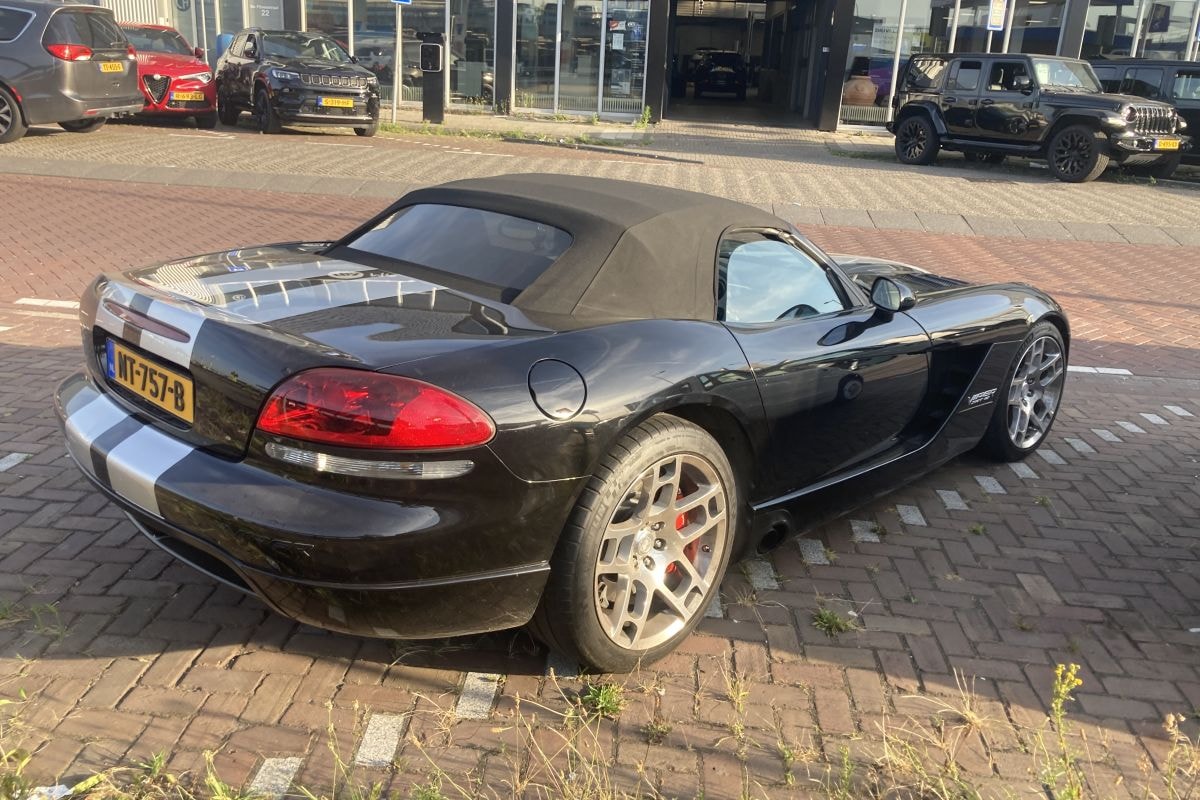 Dodge Viper in het Wild