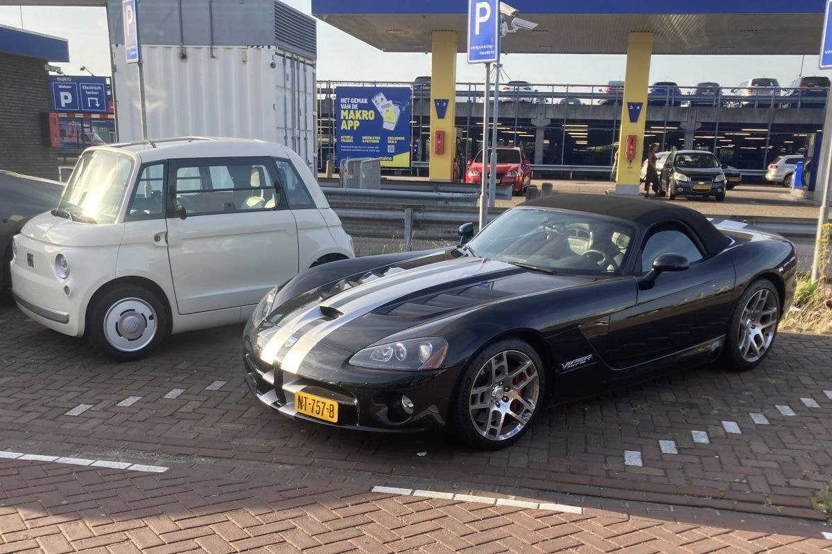Dodge Viper in het Wild