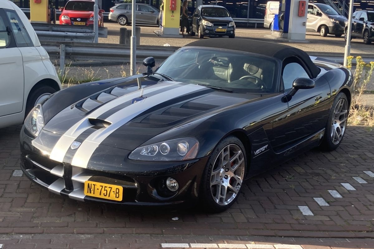 Dodge Viper in het Wild