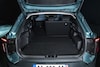 Dacia Striker