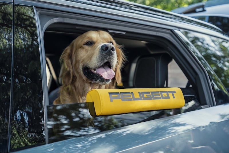 Peugeot e-5008 helemaal ingericht op honden
