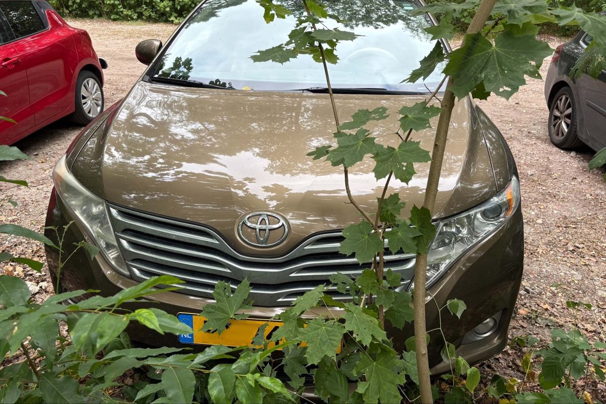 Toyota Venza