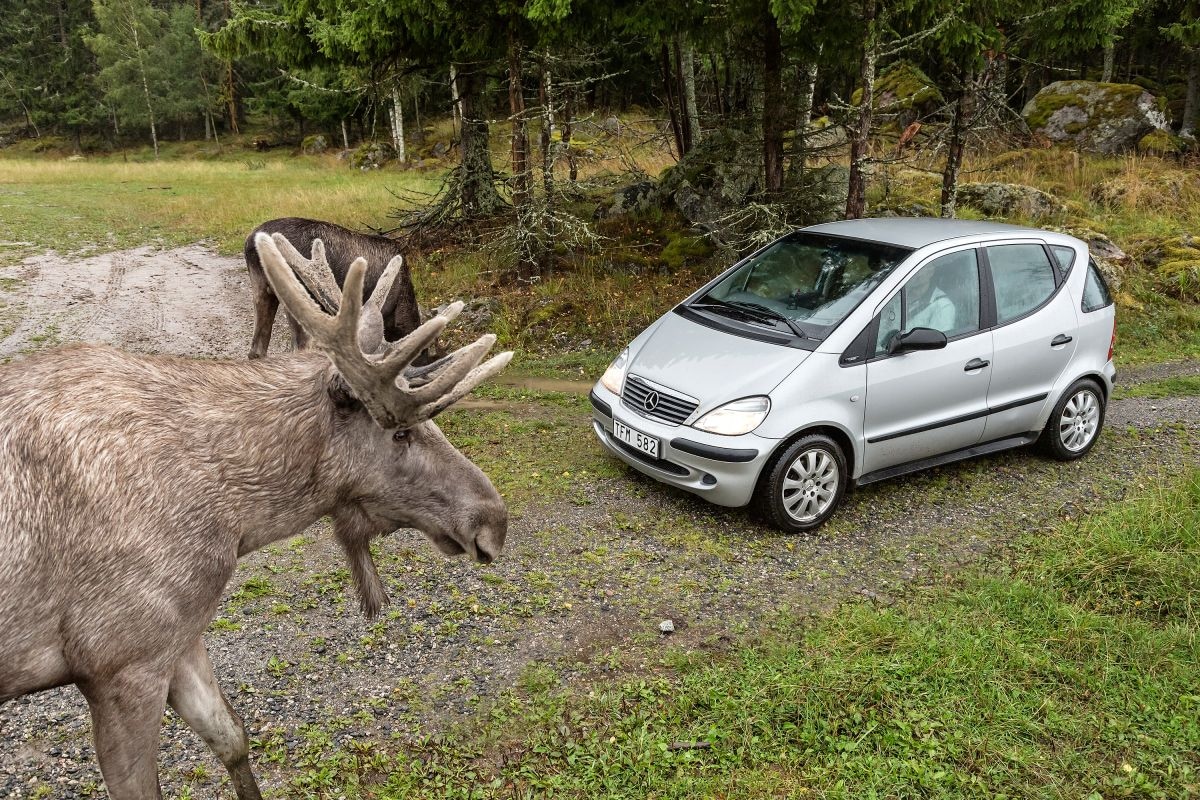 Mercedes A-klasse eland