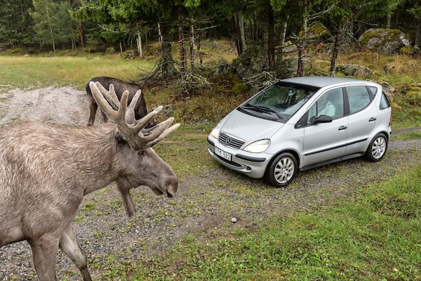 Mercedes A-klasse eland