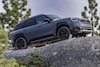 Mini Countryman Untamed Edition