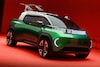 Fiat Multiplay