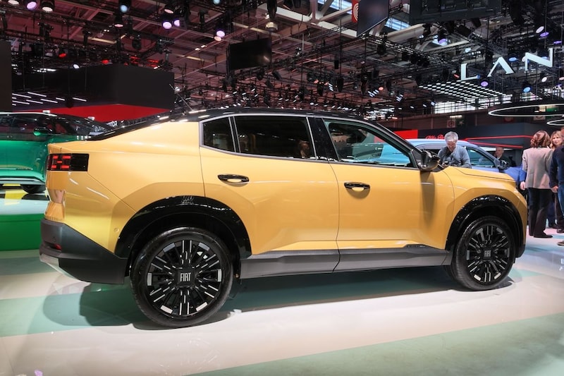 De Fiat Grizzly brengt in twee smaken meer ruimte