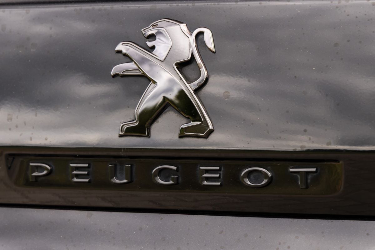 detail peugeot typeplaatje